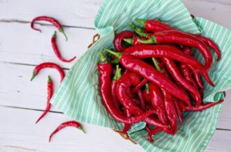 Як правильно доглядати за гострим перцем: поради і рекомендації