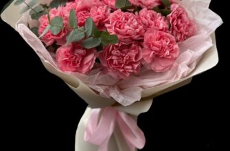 Загадкові квіти Діантуси: характеристика, догляд і вирощування