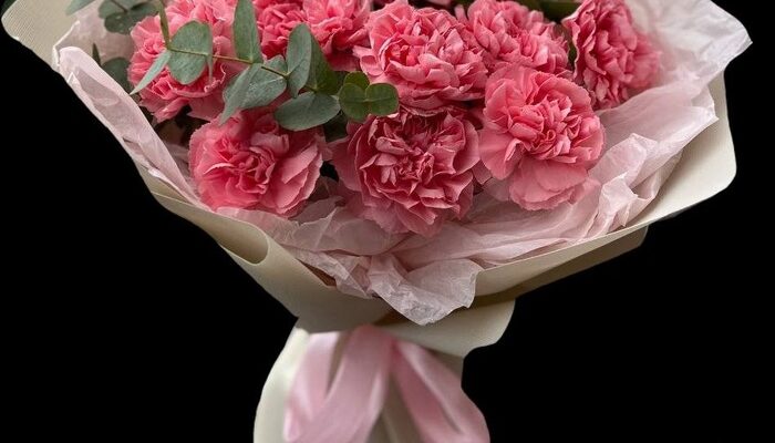 Загадкові квіти Діантуси: характеристика, догляд і вирощування