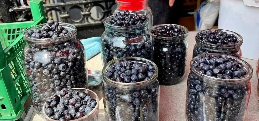 Ціни на чорницю в Казані: скільки коштує ягода на ринках 2023 року
