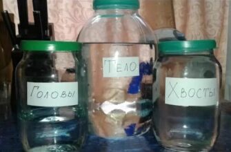 Оптимальний час для припинення відбору під час першої перегонки самогону