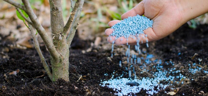 Оптимальні добрива для живлення плодових дерев: поради та рекомендації