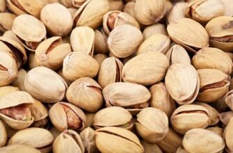 Горіхи, що підвищують витривалість: секрети подовження статевого акту