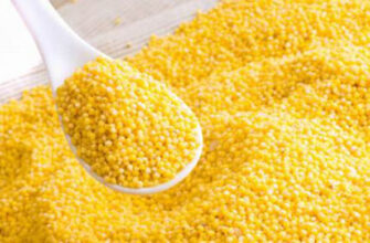 Походження пшона: звідки бере початок цей популярний продукт?