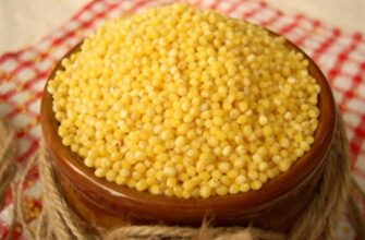 “Як називається каша з проса: традиційна страва та її секрети”