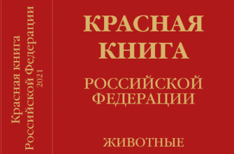 Кількість видів у Червоній книзі Росії: скільки занесено на 2023 рік?