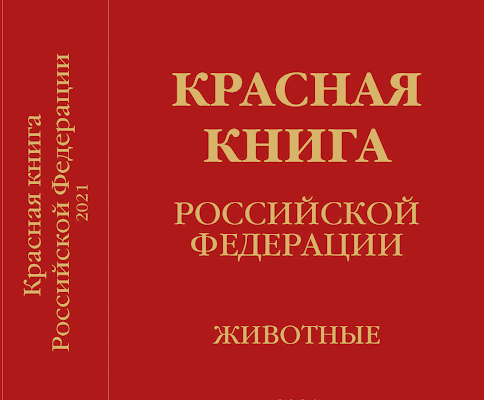 Кількість видів у Червоній книзі Росії: скільки занесено на 2023 рік?