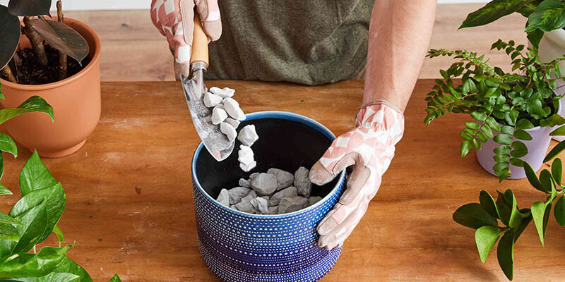 Навіщо класти камені в горщики для квітів: користь і рекомендації