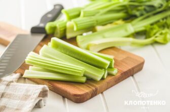 Ідеальні поєднання з селерою: кращі інгредієнти для здоров’я та смаку