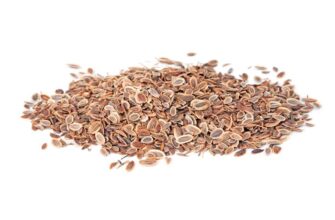 Покрокова інструкція: як правильно підготувати насіння кропу