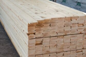 Скільки важить сира дошка: фактори, що впливають на вагу дерева