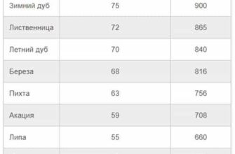 Яка температура горіння дерева: оптимальні умови та факти для Google