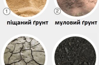 Пошук: У якому лісі України найродючіший ґрунт для зростання рослин?