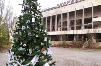 Перші ялинки у світі: історія та місця встановлення новорічних дерев