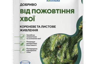 Що додати у воду для хвої: найкращі засоби для тривалої свіжості