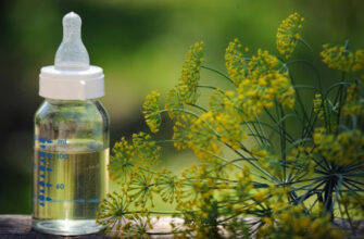 Як приготувати кропову воду для дорослих: покрокова інструкція