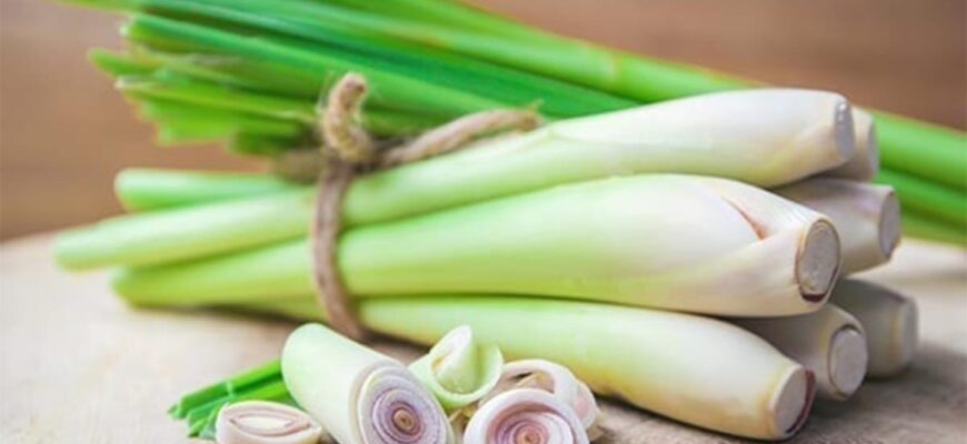 Кому протипоказаний лемонграс: обережно з цією ароматною травою