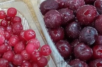 Чи безпечно вживати заморожені ягоди без попереднього розморожування?