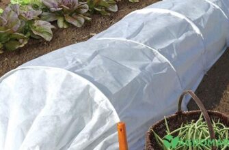 Яким боком правильно класти спанбонд на грядку для найкращого результату