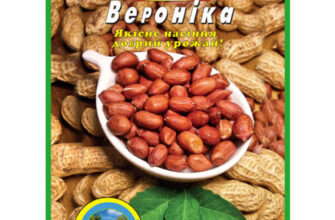 Види арахісу: який обрати для вашого столу і як він вирощується?
