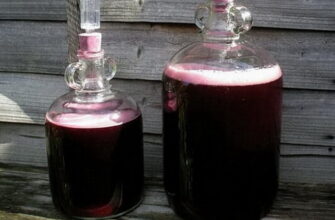 Тривалість процесу тихого бродіння вина: ключові моменти та секрети