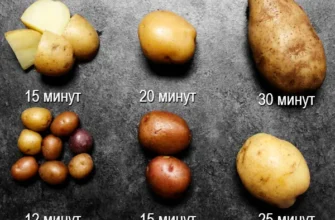 Скільки часу вариться картопля в киплячій воді: повний гід готування