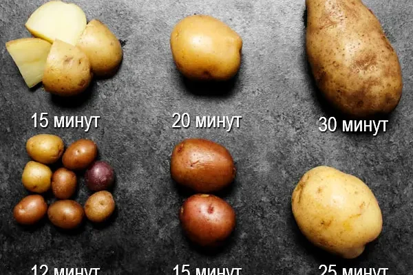 Скільки часу вариться картопля в киплячій воді: повний гід готування