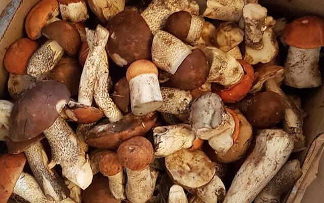 Чи необхідно попередньо відварювати гриби перед приготуванням супу?