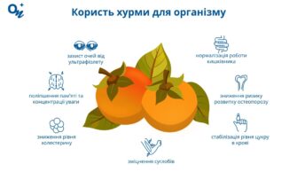 Скільки штук хурми в день можна їсти без шкоди для здоров’я?