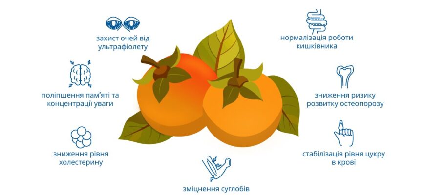 Скільки штук хурми в день можна їсти без шкоди для здоров’я?