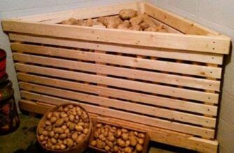 Оптимальні способи зберігання картоплі в погребі для тривалого строку