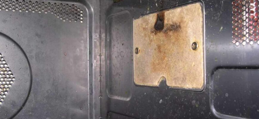 Альтернативи слюди для мікрохвильовки: практичні поради та рішення