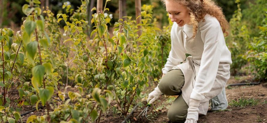Альтернативи сульфату калію: ефективні замінники для вашого саду Альтернативи сульфату калію: ефективні замінники для вашого саду