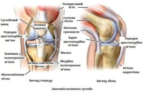 🏃♀️ Коліно бігуна: причини, симптоми та лікування- Клініка ...