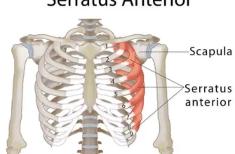 Біль під лівим ребром спереду: причини, симптоми та лікування