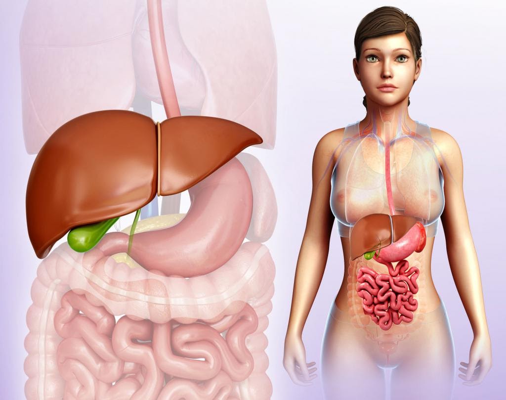 Причини болю у спині. Лікування, методики
