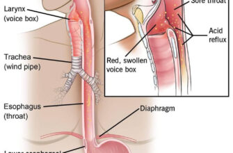 Біль у горлі при ковтанні: причини та зв’язок з болем у вухах