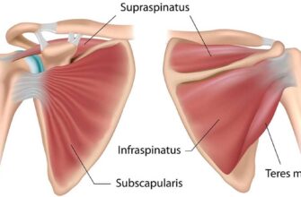 Біль у плечовому суглобі: причини, лікування та профілактика дискомфорту