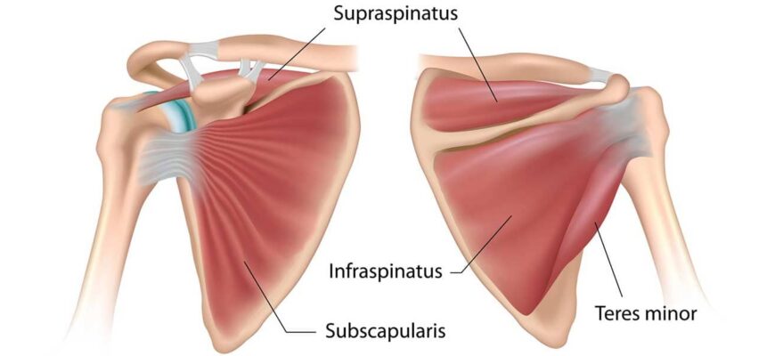 Біль у плечовому суглобі: причини, лікування та профілактика дискомфорту