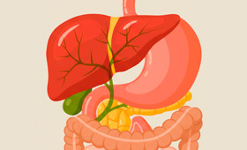 Основные причины боли в правом боку под ребрами