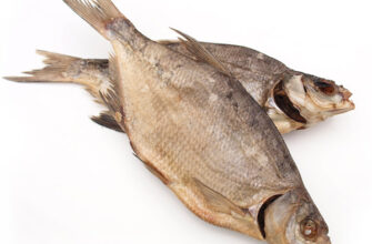 Чому сниться риба чоловікові: значення сновидіння і його тлумачення