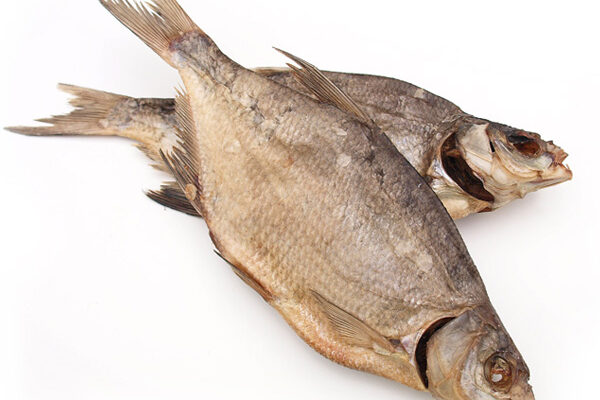 Чому сниться риба чоловікові: значення сновидіння і його тлумачення