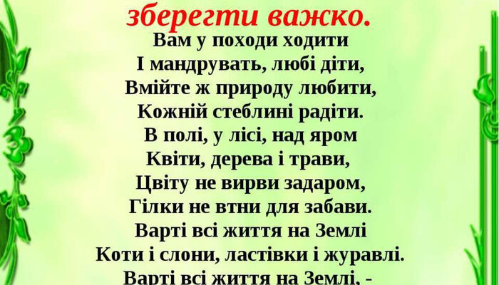 Чому важливо берегти природу: твір-роздум для 6 класу на 10 речень