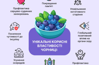 Чорниця: Користь для здоров’я та унікальні властивості ягоди