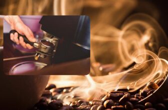 Чи безпечно вживати валеріану після чашки кави: експертна думка