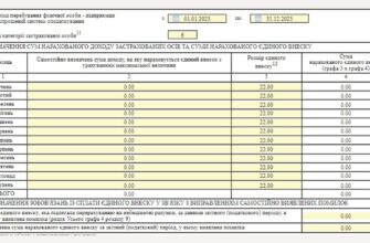 Чи обов’язково подавати нульовий звіт з ЄСВ: важливі аспекти та вимоги
