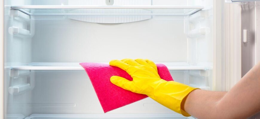 Чи потребує розморожування холодильник No Frost: все, що варто знати