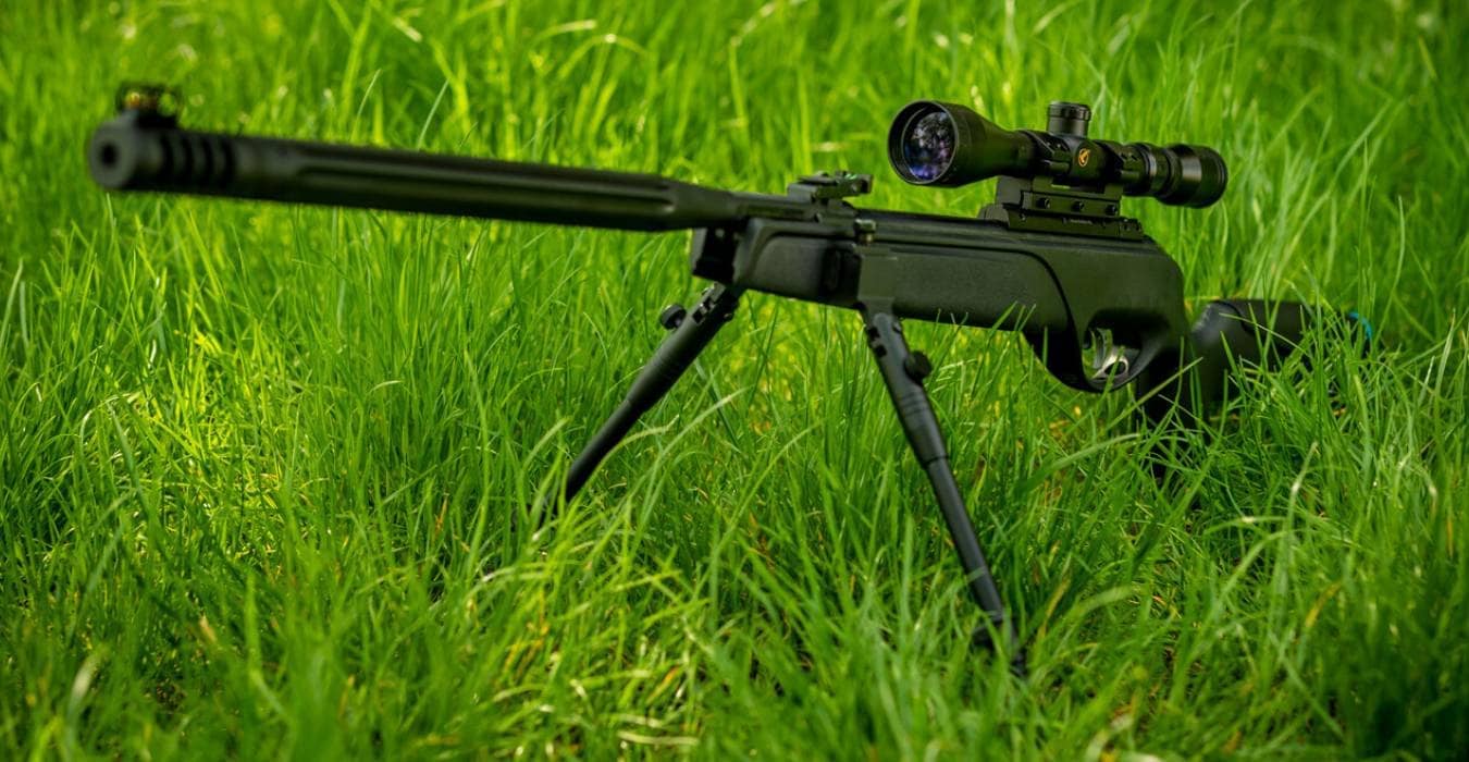 Дозвіл на гумові кулі