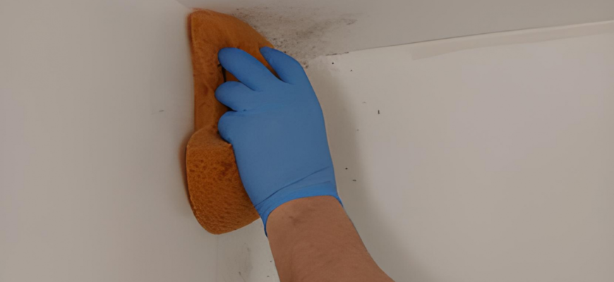 Чи варто ґрунтувати стіни перед фарбуванням: обов’язкові кроки підготовки