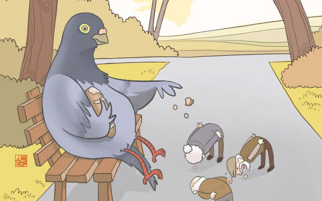 Чим годувати голубів: корисні поради для правильної пташиної дієти